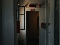 Dinas Damkar Jember Tangani Pohon Tumbang di Gudang